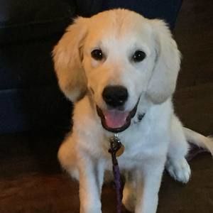 Meet your Posher, Pam